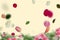 Roses red Pink lilac green flowers and petal leves colorful festive  greetings summer spring paster on pink   blue yellow floral