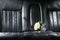 Roses at seat of newlywed limo