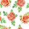 Roses soft red flowers and leaves, hand painted watercolor illustration, seamless pattern design on white