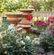 Roses, vases and pond in the garden