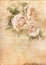 Roses vintage shabby chic background