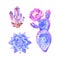 Rosette shaped succulents Echeveria design set. Purple, pink, blue colored flowers on white. Desert decorative plants