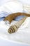 Rosh Hashanah Hashana jewish New Year holiday and Yom Kippur concept with Ram shofar ,horn, Rolled Parchment Scroll, Tallit