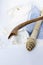 Rosh Hashanah Hashana jewish New Year holiday and Yom Kippur concept with Ram shofar ,horn, Rolled Parchment Scroll, Tallit