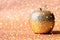 Rosh hashanah & x28;jewish New Year holiday& x29; concept. Traditional symbol, decorative glitter gold apple.