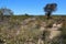ross graham lookout - kalbarri - western australia