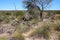 ross graham lookout - kalbarri - western australia