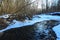 Rossii.Russkiy forest, the forest awakes in spring. The river is covered with ice.