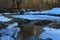 Rossii.Russkiy forest, the forest awakes in spring. The river is covered with ice.