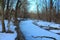 Rossii.Russkiy forest, the forest awakes in spring. The river is covered with ice.