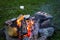 Rosting marshmallows and smores on campfire.