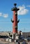 Rostral Column