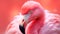 Rosy Elegance: Realistic Pink Flamingo on Pink Surface