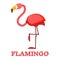 Rosy Flamingo Linear Icon