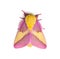 Rosy Maple Moth