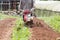 Rotary cultivator working in garden