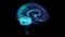 Rotating 360 degree hologram of human brain. Glowing blue light particles point of human brain model. Seamless looping