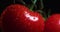 Rotating bio organic tomatoes branch covered water drops, close up. Vegetables vitamins, healthy eating concept