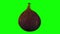 Rotating Black Fig on Green Background 01A Looping