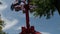 The rotating carousel in an amusement park