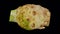 Rotating celery root on transparent background 01 b looping with alpha channel