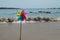 Rotating colorful rainbow pinwheel on the beach coast