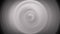 Rotating concentric circles target fractal