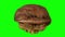 Rotating Cracked Walnut on Green Background 01B Looping