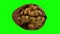 Rotating cracked walnut on green background looping