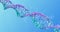 Rotating DNA Strand Loop with Amino Acids