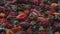 Rotating dry rosehip berries for folk medicine