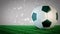 Rotating glossy soccer ball on grass field with bokeh background - seamless loop