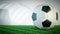 Rotating glossy soccer ball on grass field - seamless loop