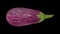 Rotating Graffiti Eggplant on Black Background 01A Looping