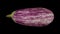 Rotating Graffiti Eggplant on Black Background 02A Looping