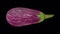 Rotating Graffiti Eggplant on Transparent Background 01A Looping with Alpha Channel