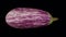 Rotating Graffiti Eggplant on Transparent Background 02B Looping with Alpha Channel