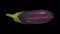 Rotating Graffiti Eggplant on Transparent Background 03B Looping with Alpha Channel