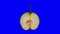 Rotating Half Asian Pear on Blue Background 03A Looping