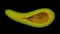 Rotating Half Long Neck Avocado on Black Background 02A Looping