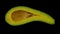 Rotating Half Long Neck Avocado on Black Background 02C Looping