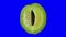 Rotating half unripe melon on blue background looping