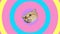 Rotating head cat on colourful background with moving circles, video animation.