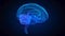 Rotating human brain. Glowing blue human brain 3d model. Seamless looping motion animated neurons in virtual space