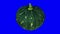 Rotating Kabocha Squash on Blue Background 01