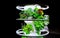 Rotating Multilevel Stand with Lighting for Growing Greens