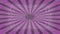 Rotating object with a geometric pattern in vintage style on an abstract purple background. Seamless loop video