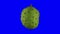 Rotating Soursop Graviola on Blue Background 03