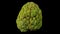 Rotating Sugar-Apple on Black Background 01B (Looping)