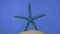 Rotation of the blue starfish on the sand. Isolated